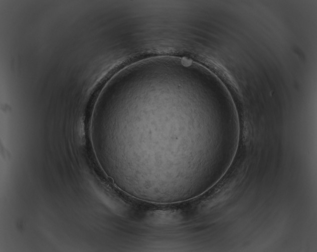 X0000090980251200708021505