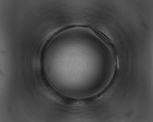 X0000090980252200708021505