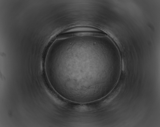 X0000090980253200708021505
