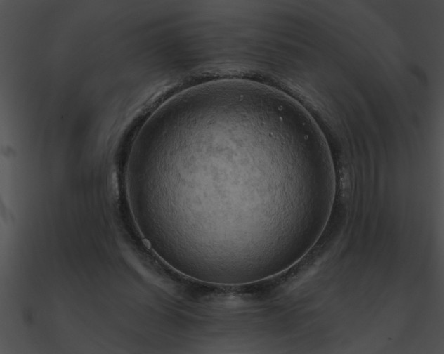 X0000090980254200708021505