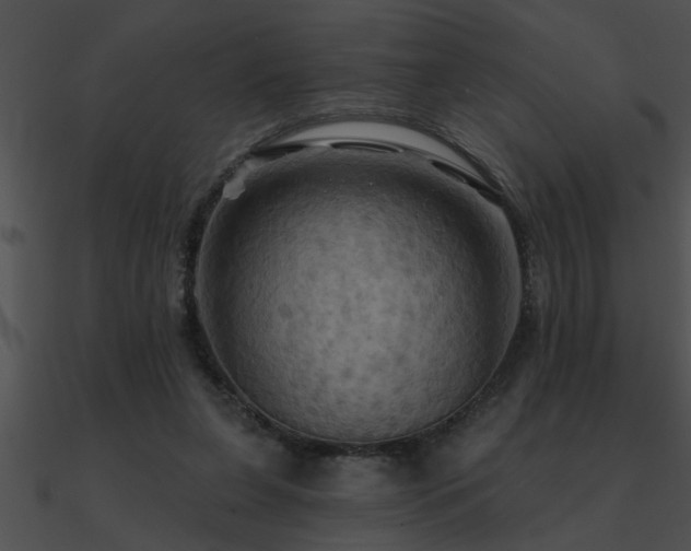 X0000090980255200708021505