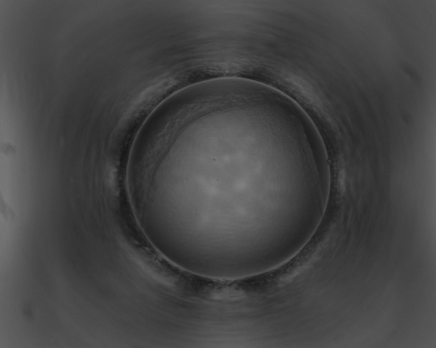 X0000090980258200708021505