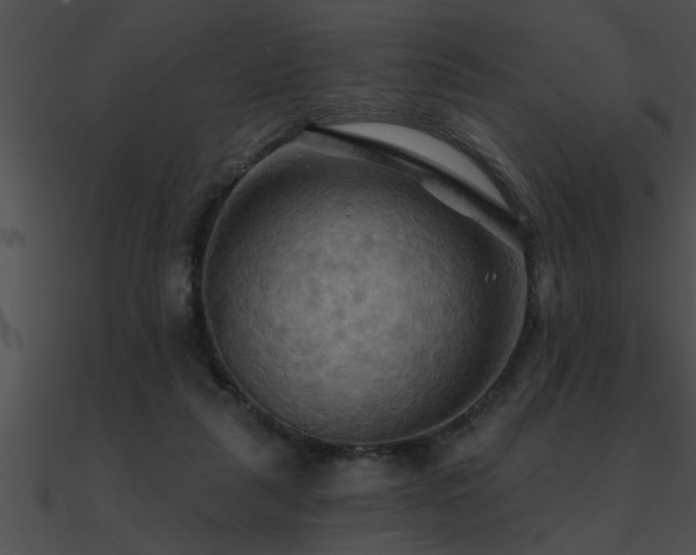 X0000090980259200708021505