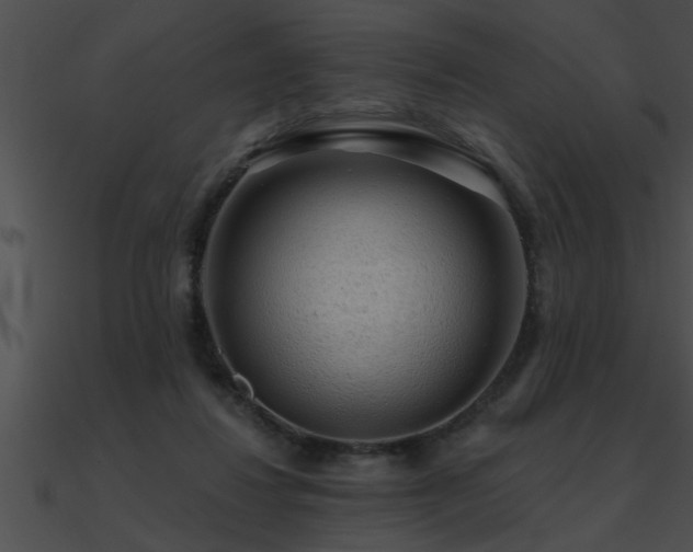 X0000090980260200708021505