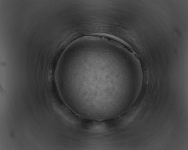 X0000090980263200708021505