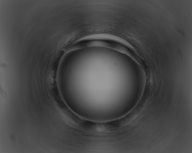 X0000090980264200708021505
