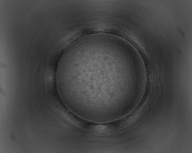 X0000090980265200708021505
