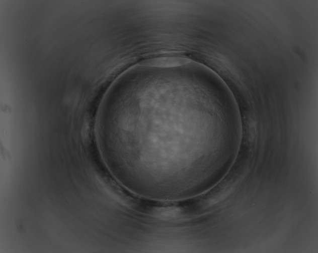 X0000090980266200708021505