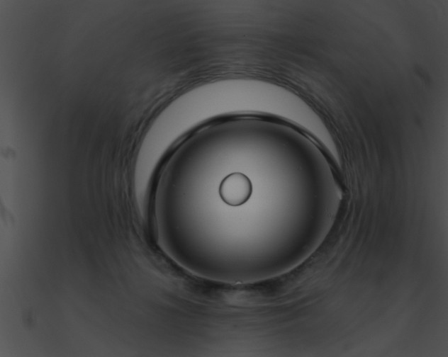 X0000090980268200708021505