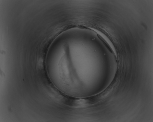X0000090980269200708021505