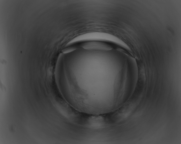 X0000090980271200708021505