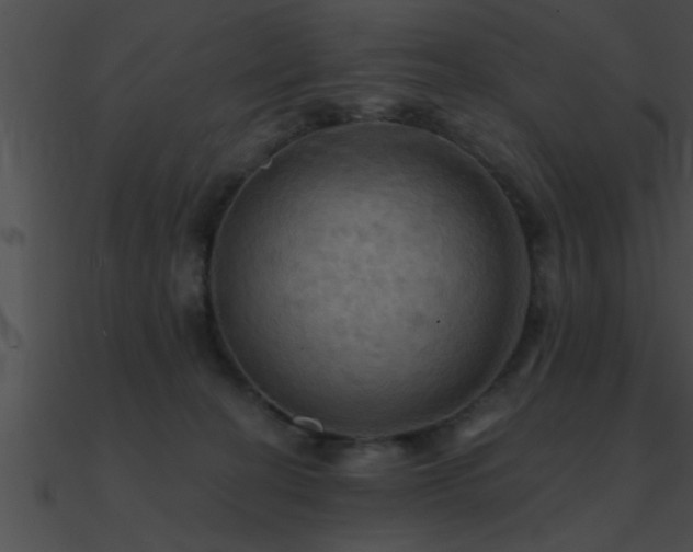 X0000090980274200708021505
