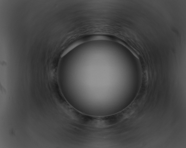 X0000090980276200708021505
