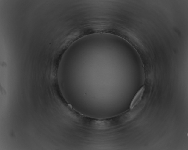 X0000090980277200708021505