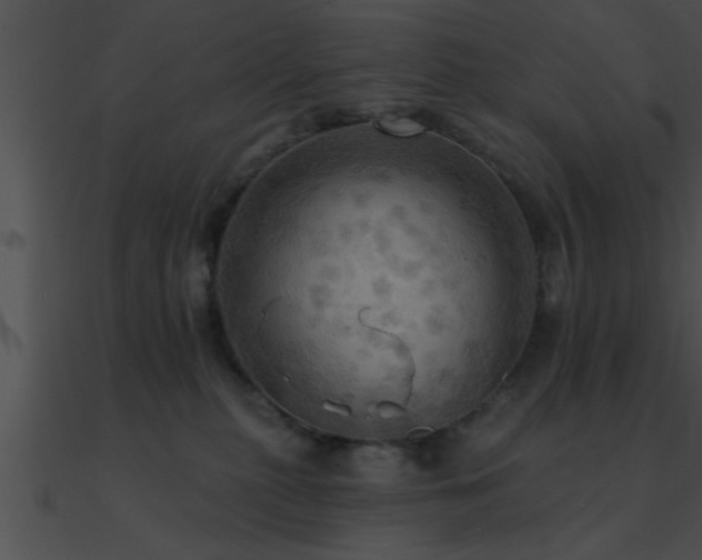 X0000090980279200708021505