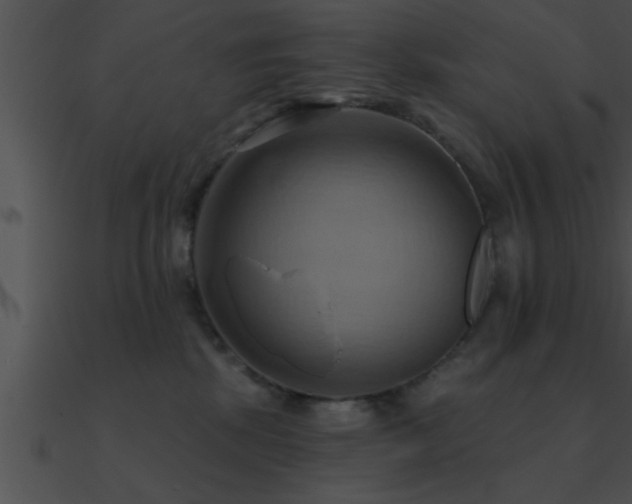 X0000090980281200708021505