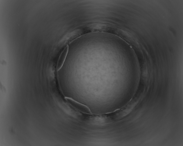 X0000090980282200708021505