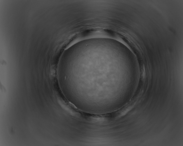 X0000090980284200708021505
