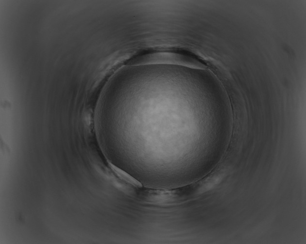 X0000090980288200708021505