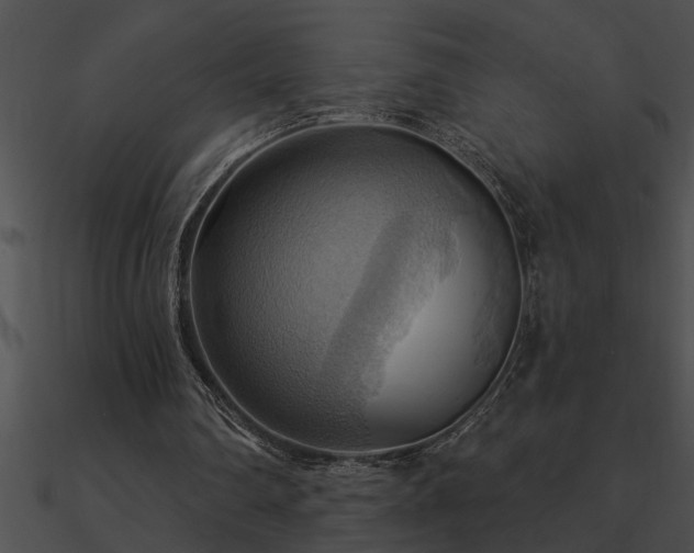 X0000090980290200708021504