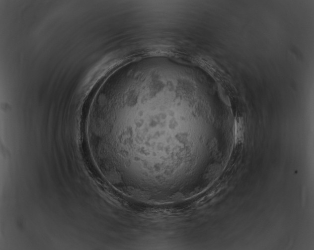 X0000090980291200708021504