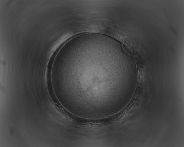X0000090980292200708021504