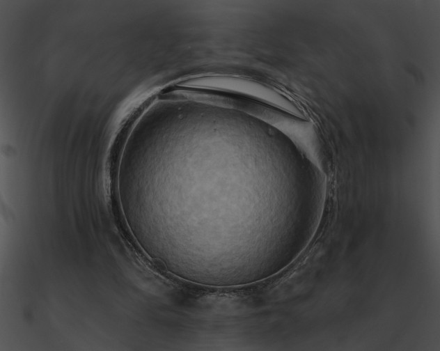 X0000090980294200708021504