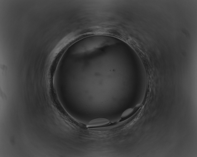 X0000090980295200708021504