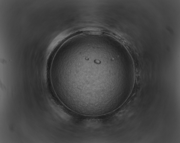 X0000090980296200708021504