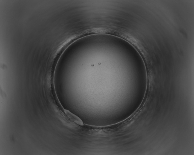 X0000090980297200708021504