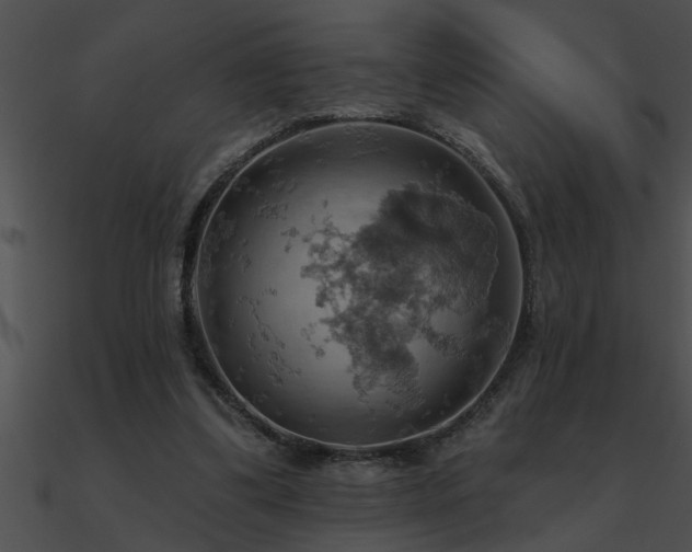 X0000090980299200708021504