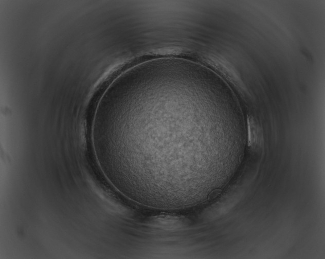 X0000090980300200708021504
