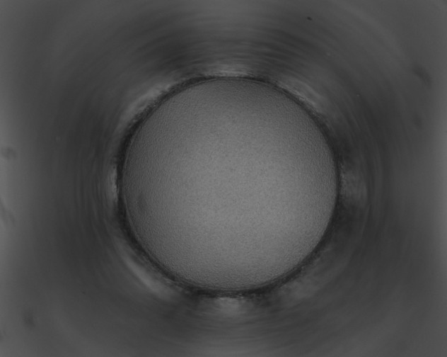 X0000090980302200708021504