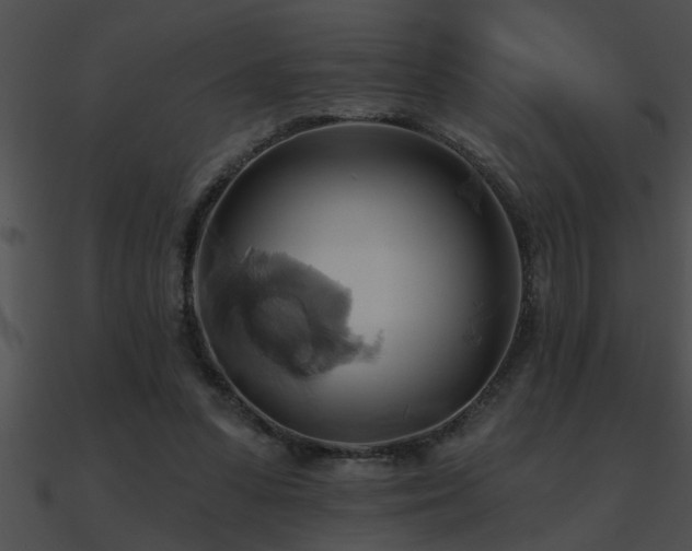 X0000090980303200708021504