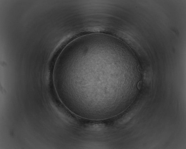 X0000090980304200708021504