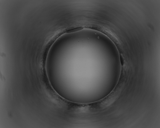 X0000090980306200708021504