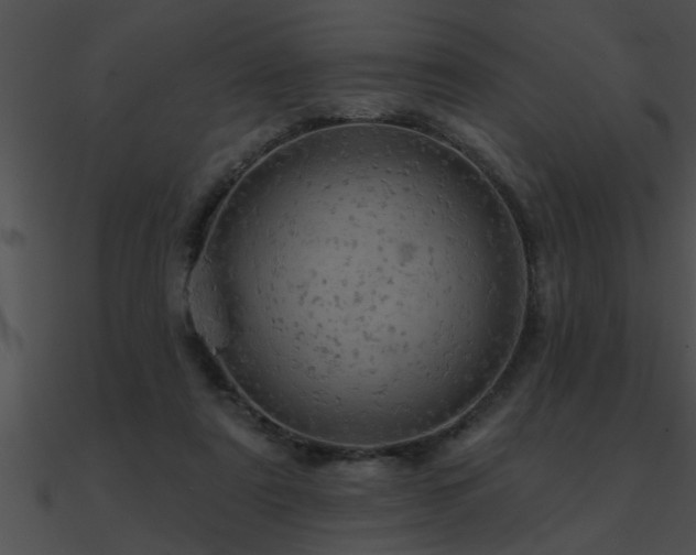 X0000090980307200708021504