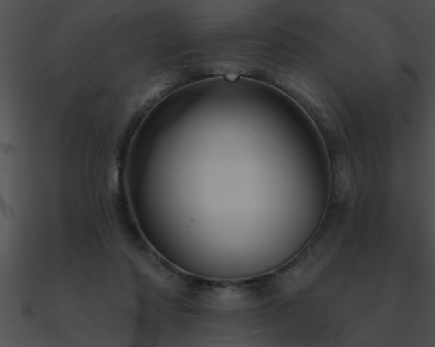 X0000090980310200708021504