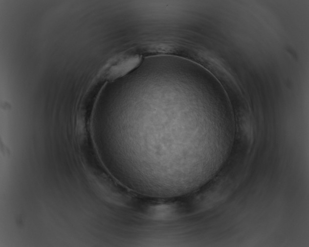 X0000090980312200708021504