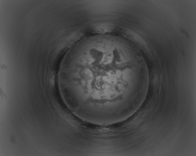 X0000090980315200708021504