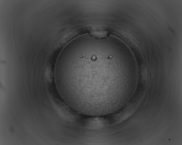 X0000090980316200708021504