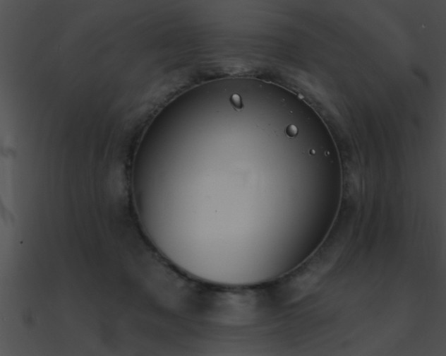 X0000090980317200708021504