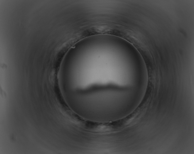 X0000090980319200708021504
