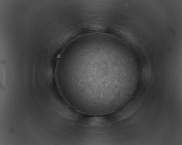 X0000090980320200708021504