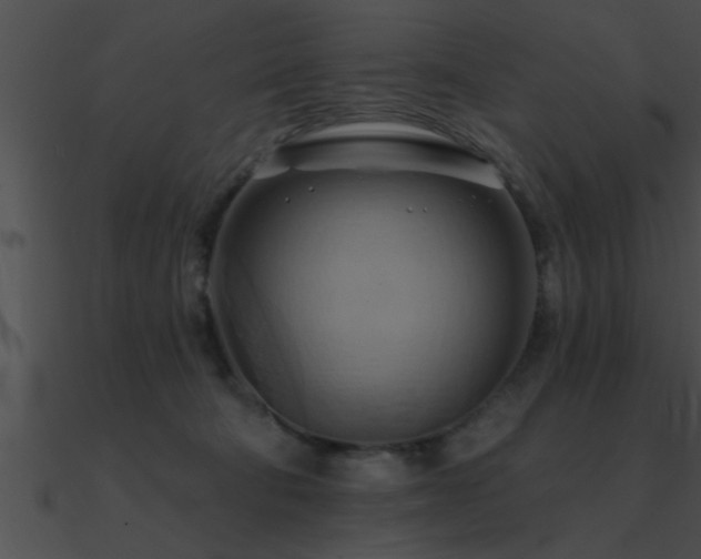 X0000090980322200708021504