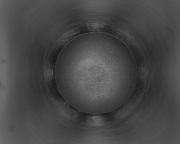 X0000090980324200708021504