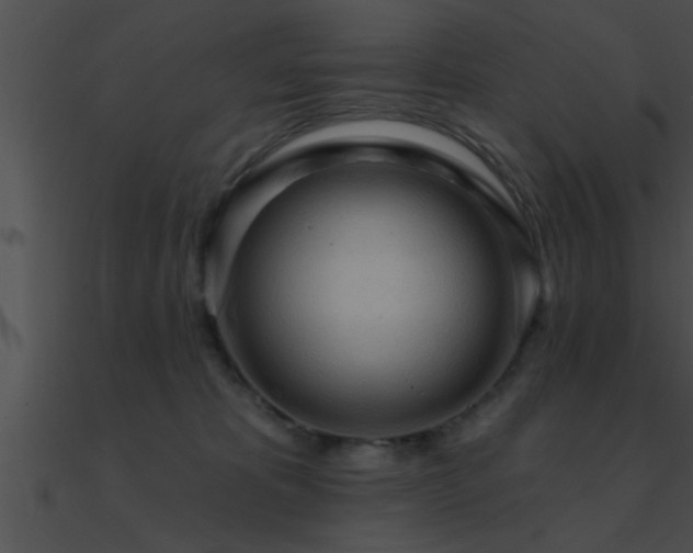 X0000090980325200708021504