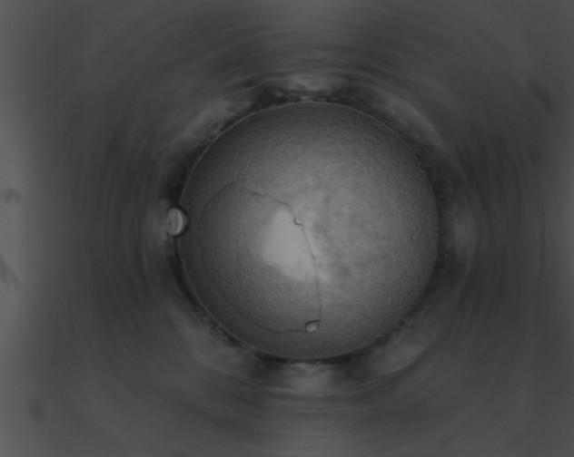 X0000090980328200708021504
