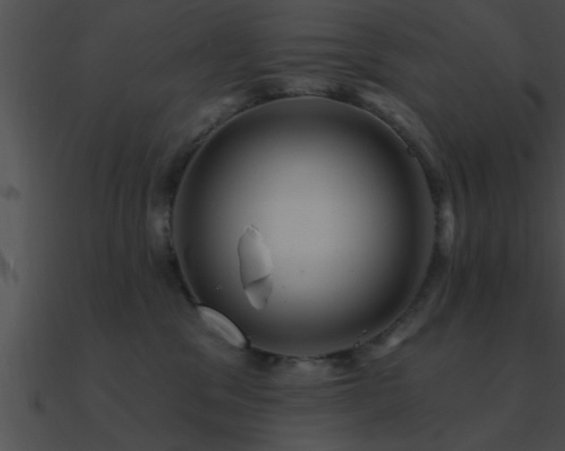 X0000090980329200708021504