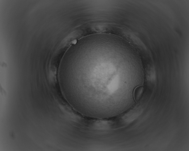 X0000090980332200708021504